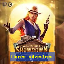 flores silvestres desbravadores desbravadores 25 flores silvestres e seus nomes